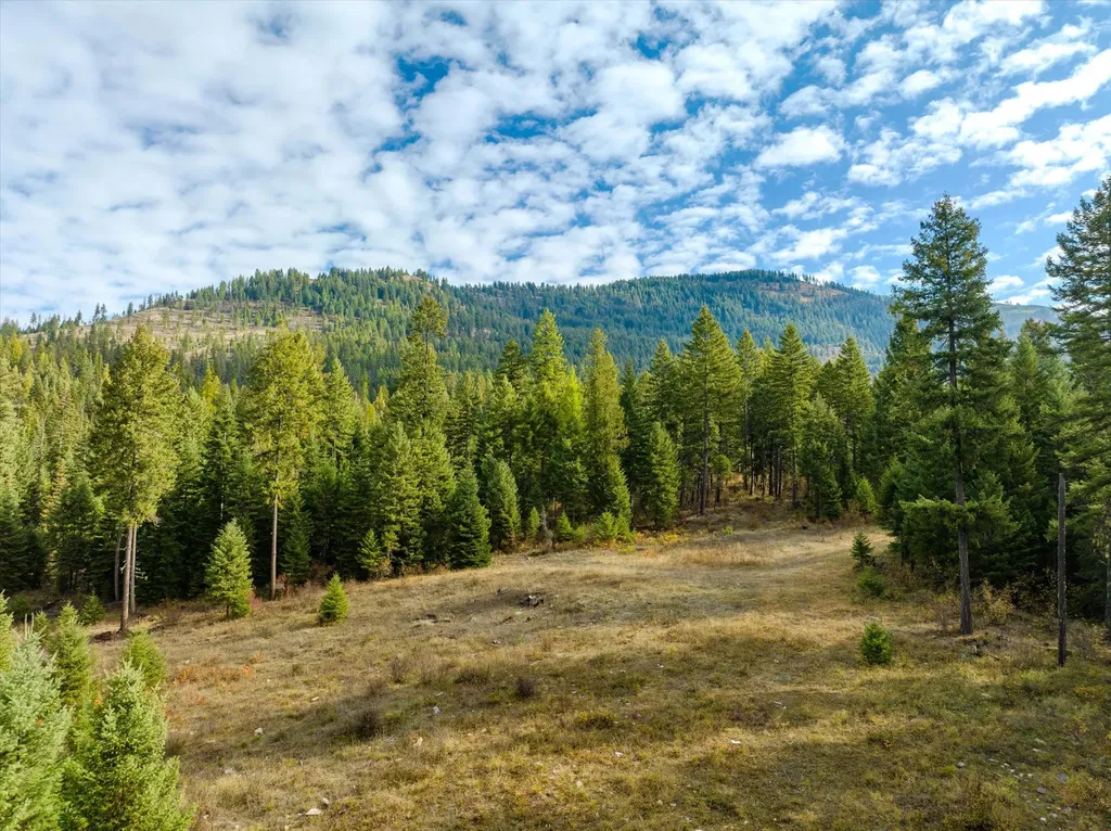 Lot 3 Mckay Minor Road Noxon MT 59853