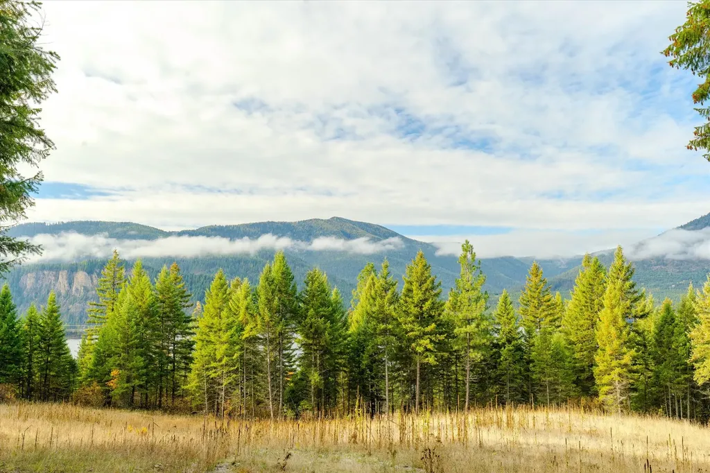 Lot 2 Mckay Minor Road Noxon MT 59853