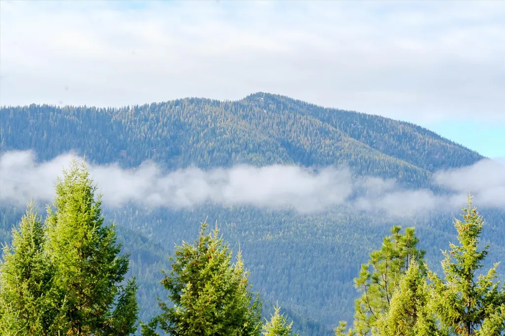 Lot 2 Mckay Minor Road Noxon MT 59853