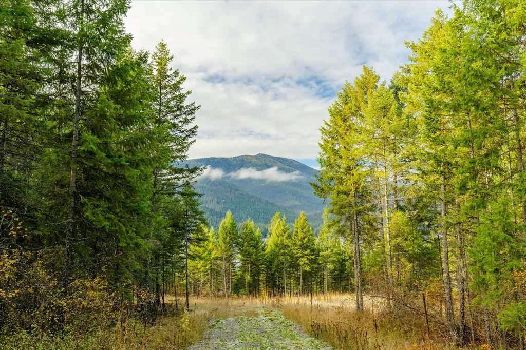 Lot 2 Mckay Minor Road Noxon MT 59853