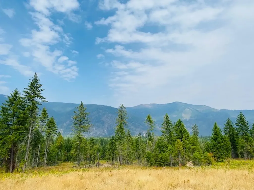 Nhn Creek View Lane Heron MT 59844