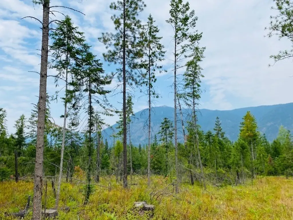 Nhn Creek View Lane Heron MT 59844