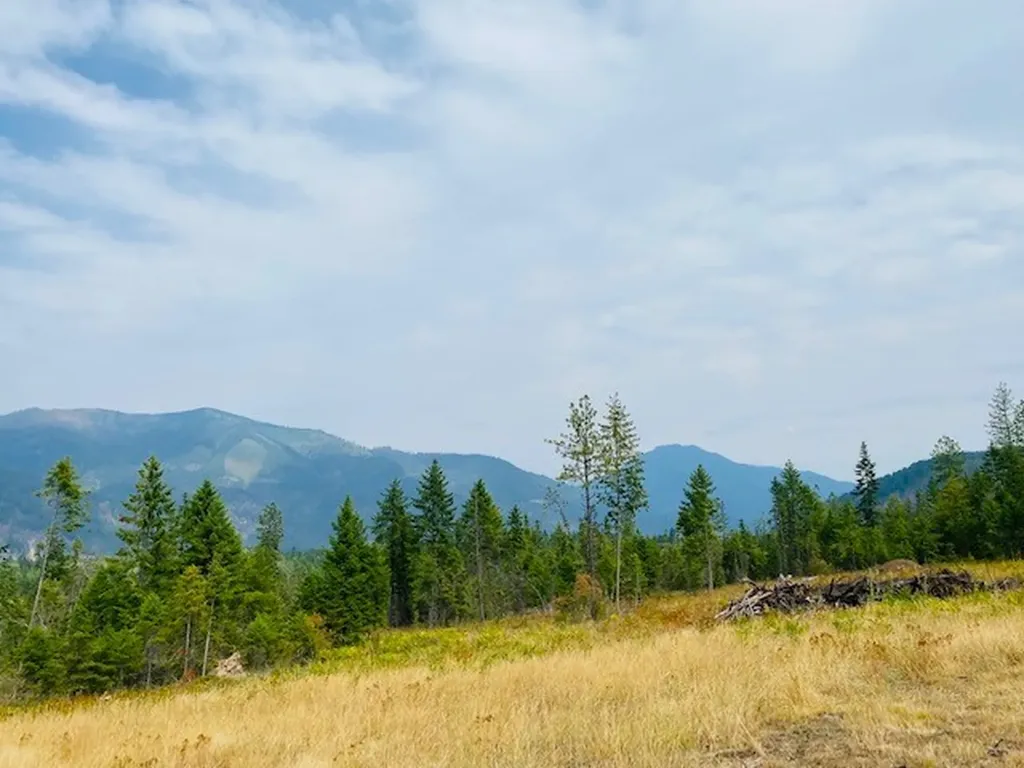 Nhn Creek View Lane Heron MT 59844