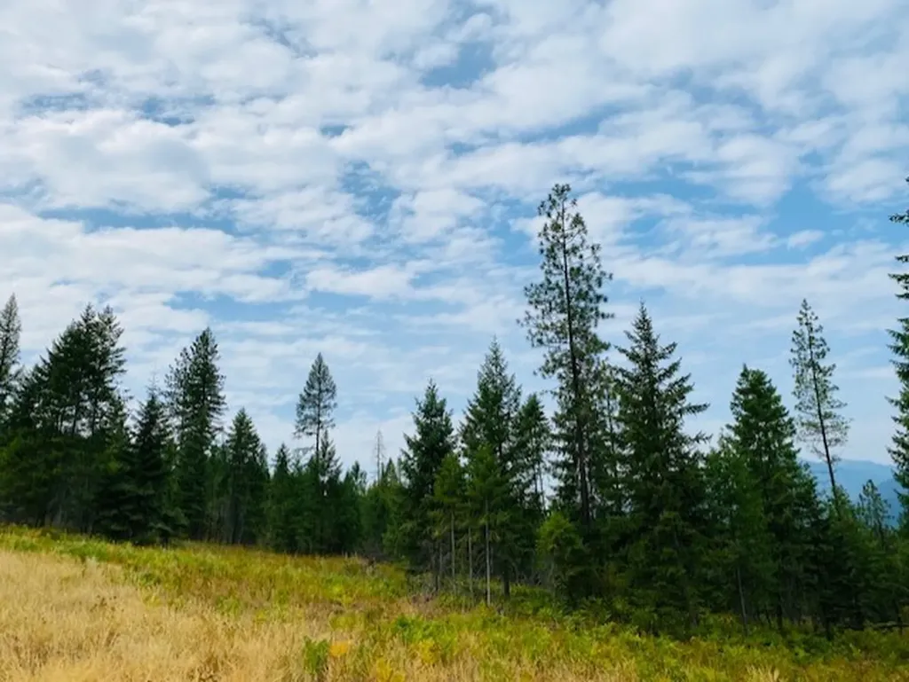 Nhn Creek View Lane Heron MT 59844