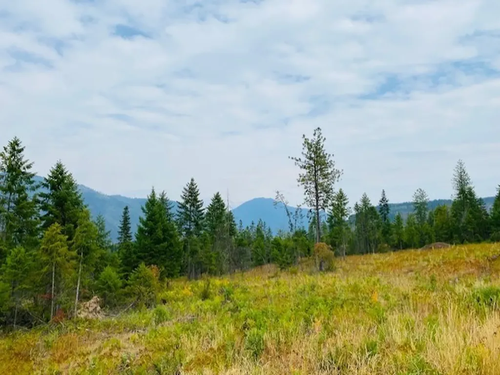 Nhn Creek View Lane Heron MT 59844