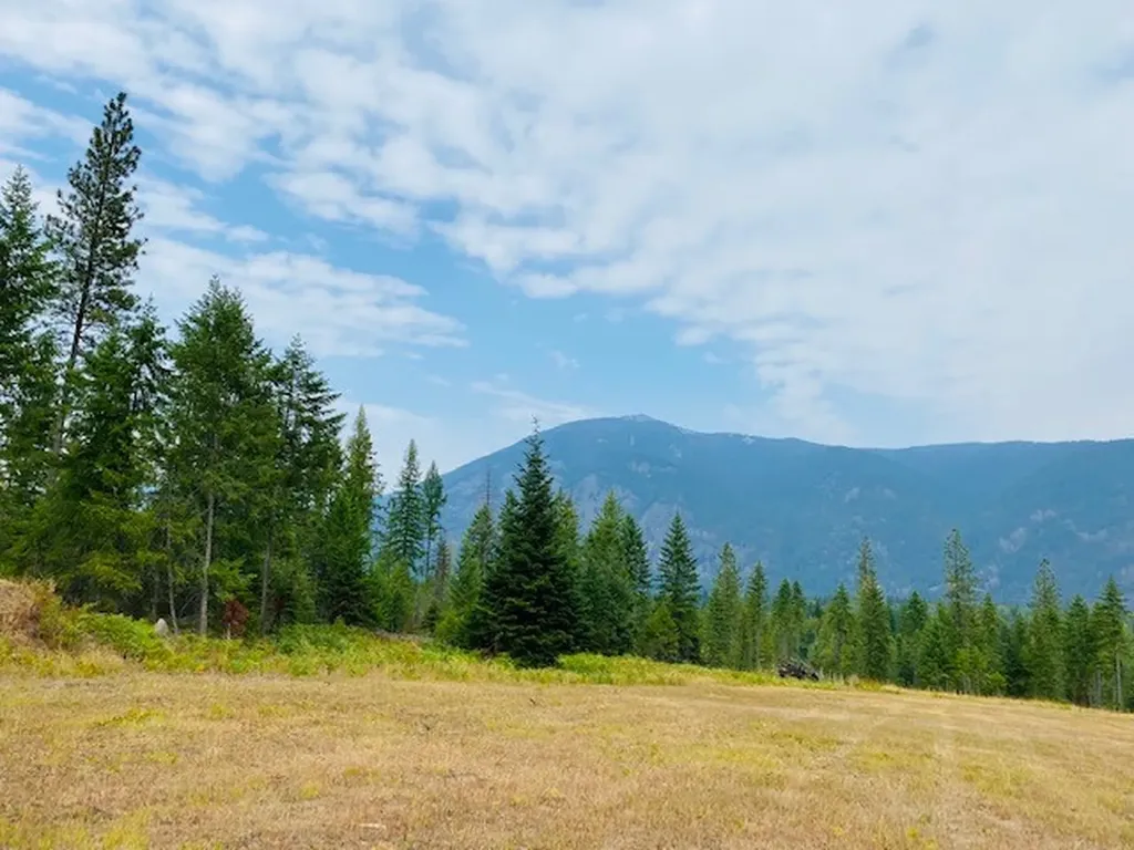 Nhn Creek View Lane Heron MT 59844