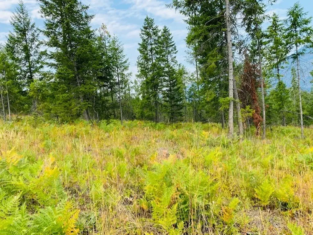 Nhn Creek View Lane Heron MT 59844