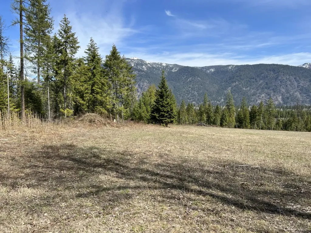 Nhn Creek View Lane Heron MT 59844