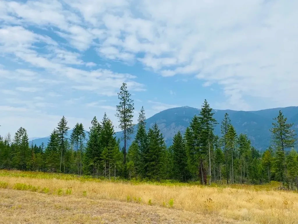 Nhn Creek View Lane Heron MT 59844