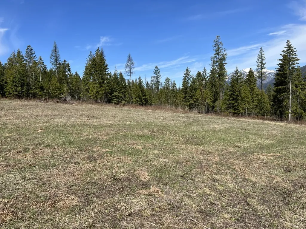 Nhn Creek View Lane Heron MT 59844