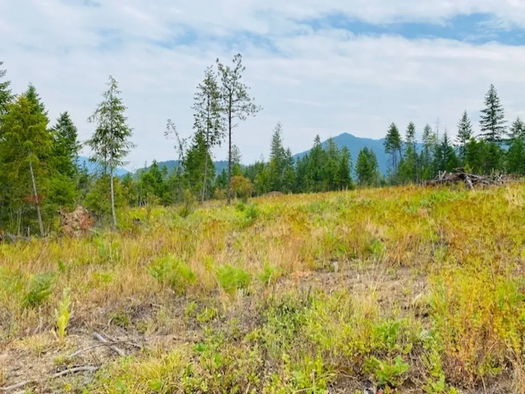 Nhn Creek View Lane Heron MT 59844