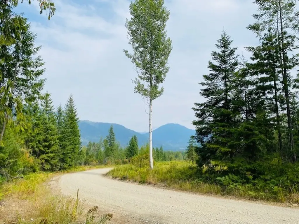 Nhn Creek View Lane Heron MT 59844