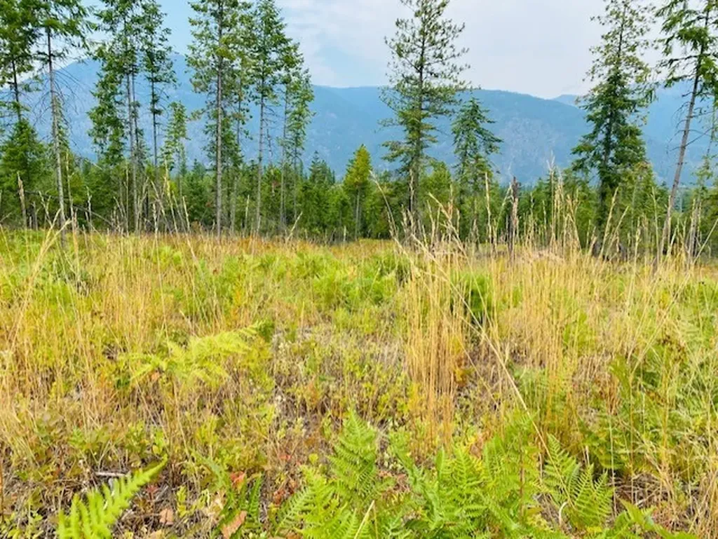 Nhn Creek View Lane Heron MT 59844