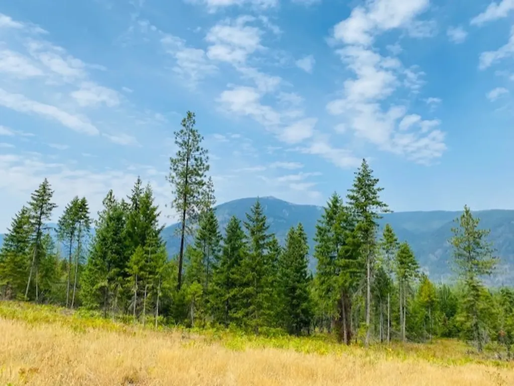 Nhn Creek View Lane Heron MT 59844