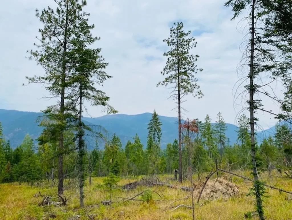 Nhn Creek View Lane Heron MT 59844