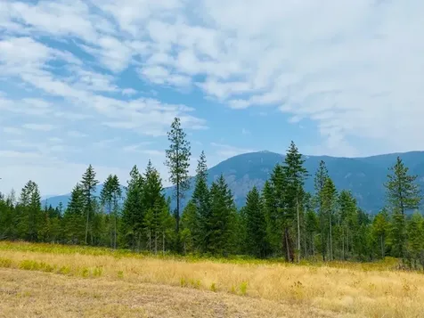 Nhn Creek View Lane Heron MT 59844