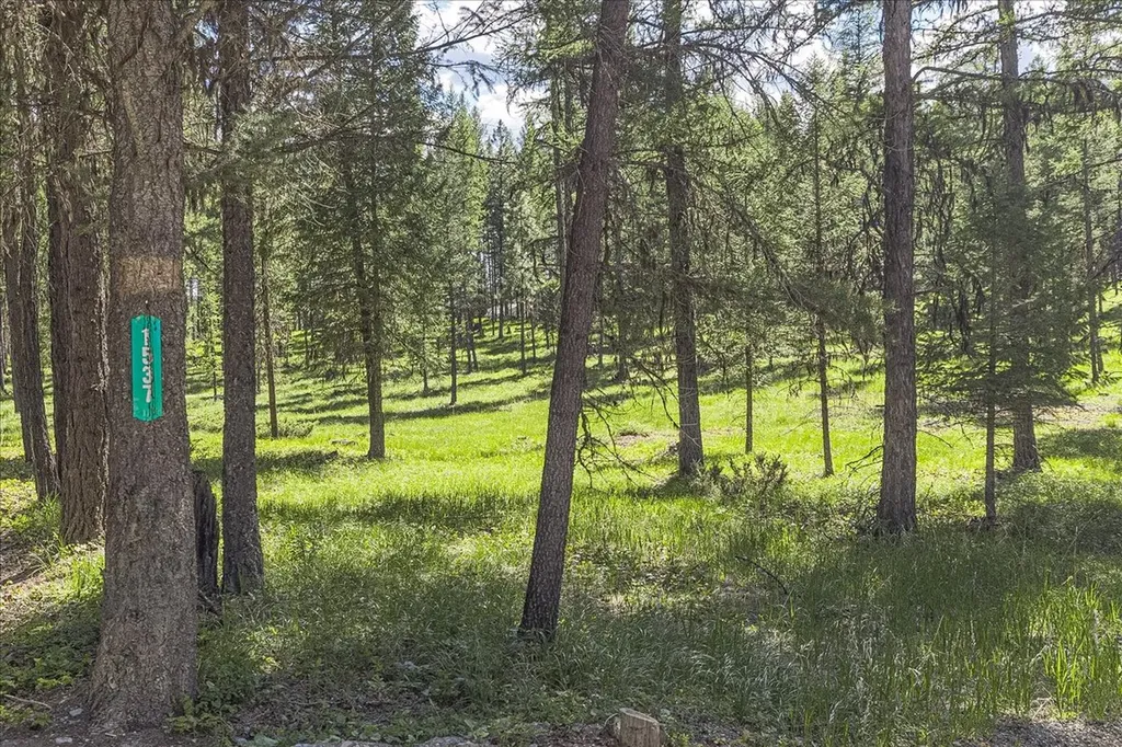 1537 Pomeroy Trail Eureka MT 59917