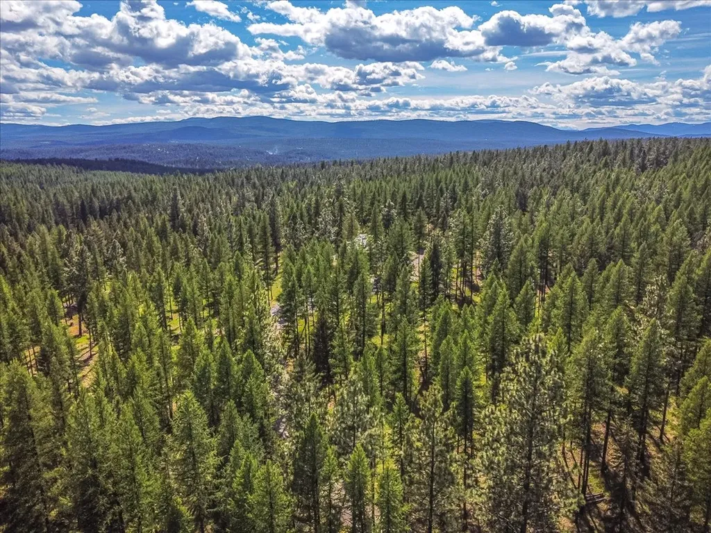 1537 Pomeroy Trail Eureka MT 59917