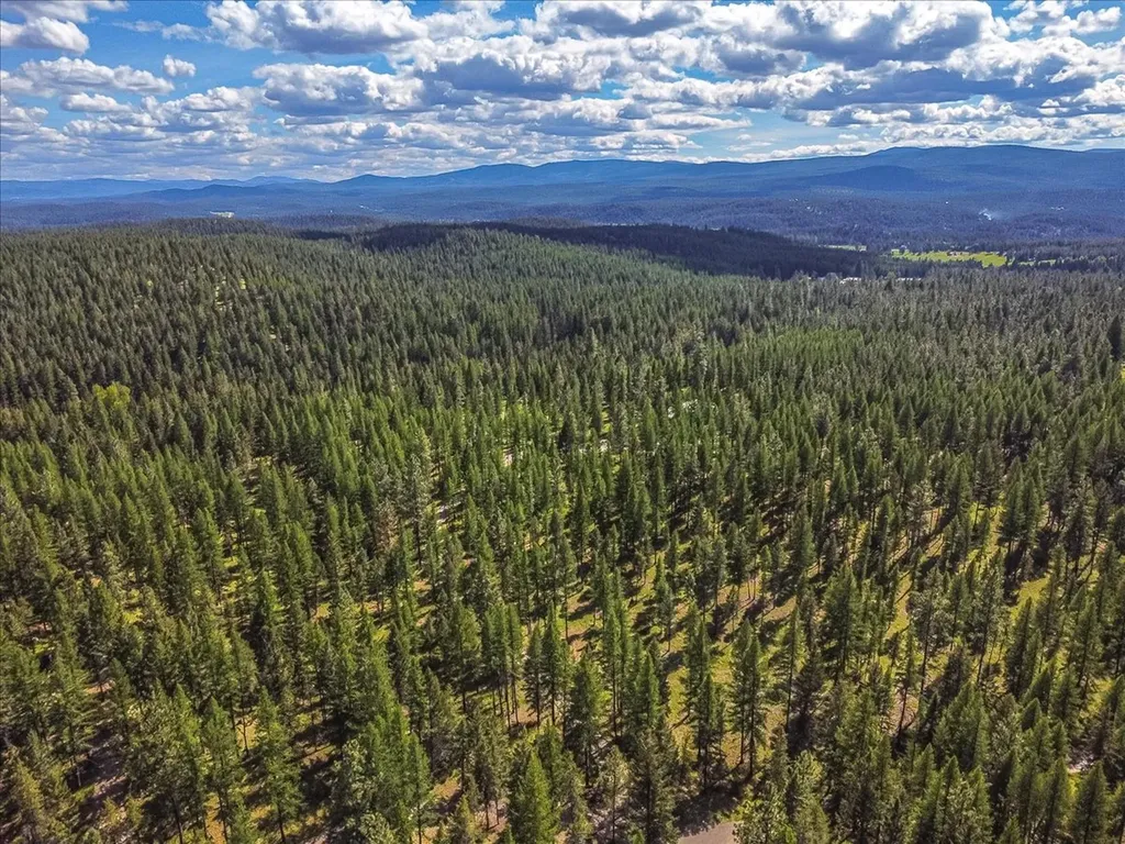 1537 Pomeroy Trail Eureka MT 59917