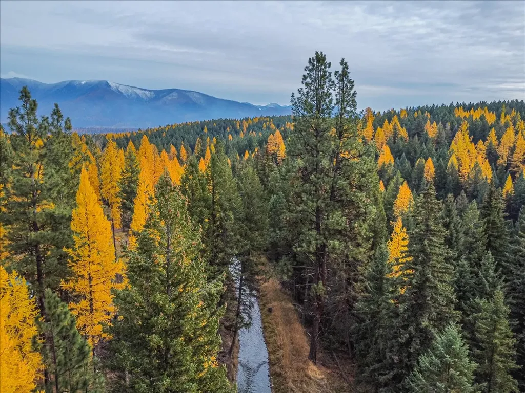 1537 Pomeroy Trail Eureka MT 59917