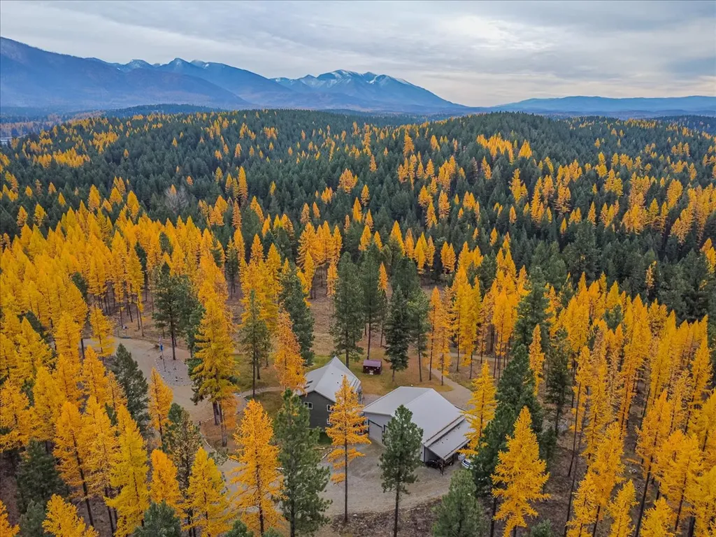 1537 Pomeroy Trail Eureka MT 59917
