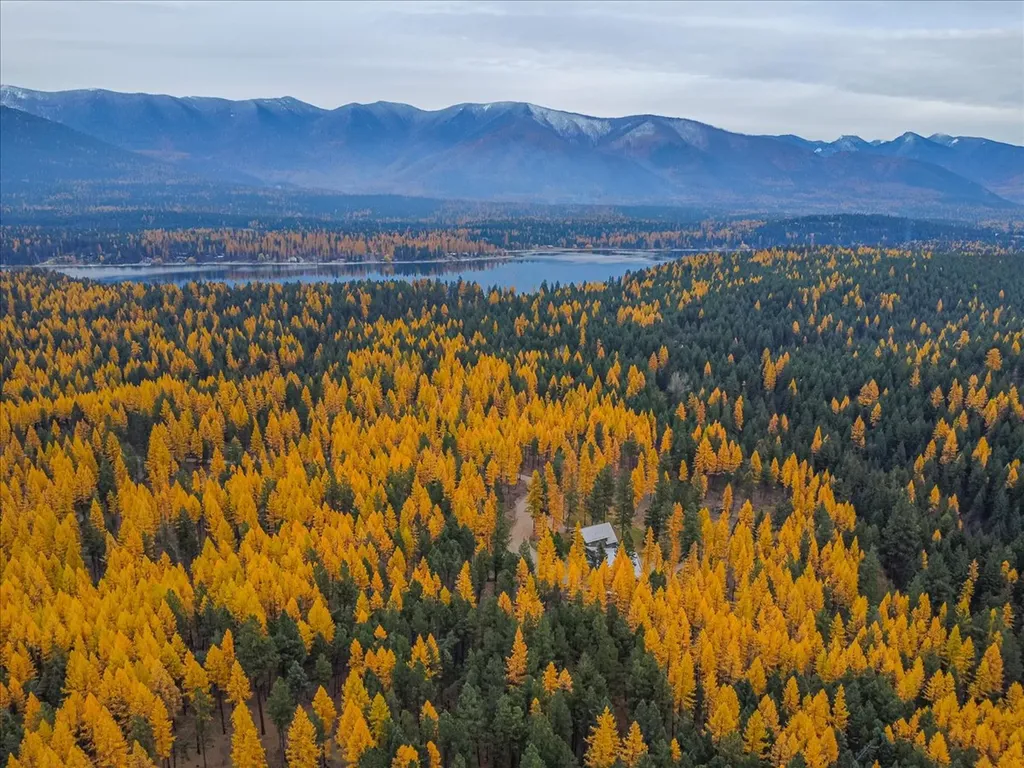 1537 Pomeroy Trail Eureka MT 59917
