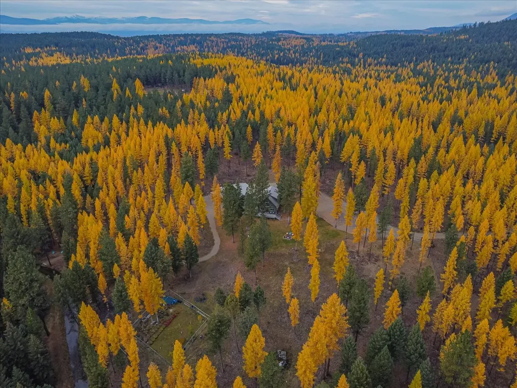 1537 Pomeroy Trail Eureka MT 59917