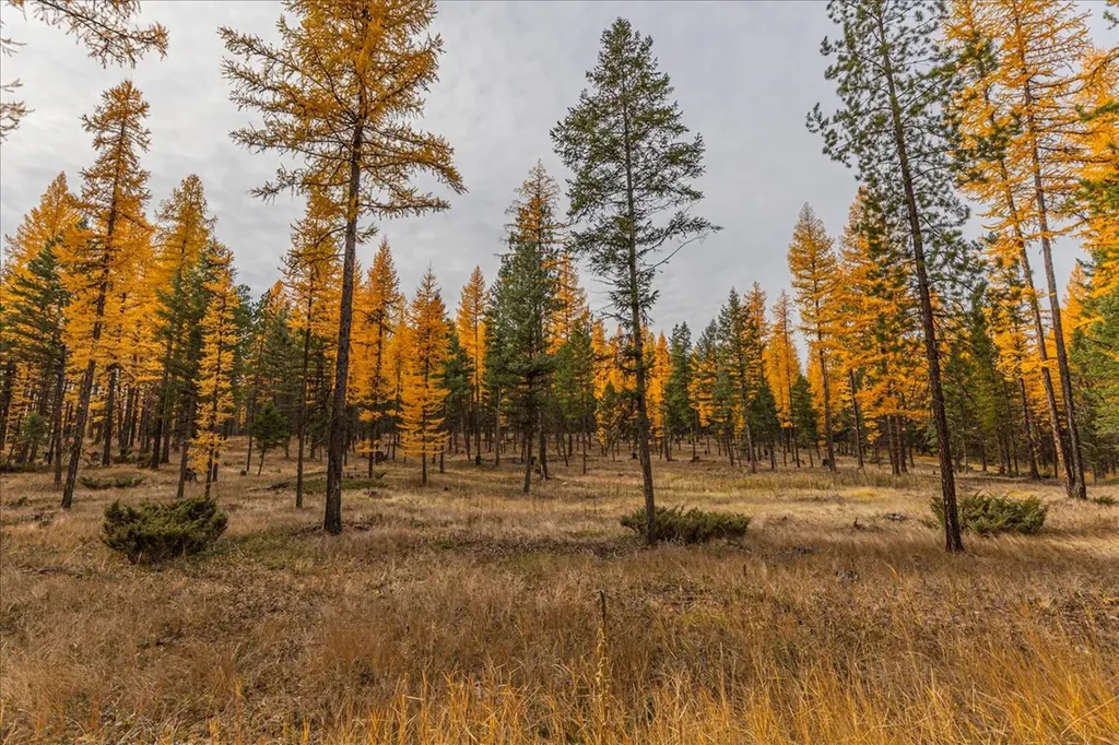 1537 Pomeroy Trail Eureka MT 59917
