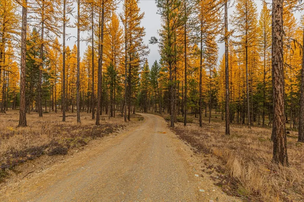 1537 Pomeroy Trail Eureka MT 59917