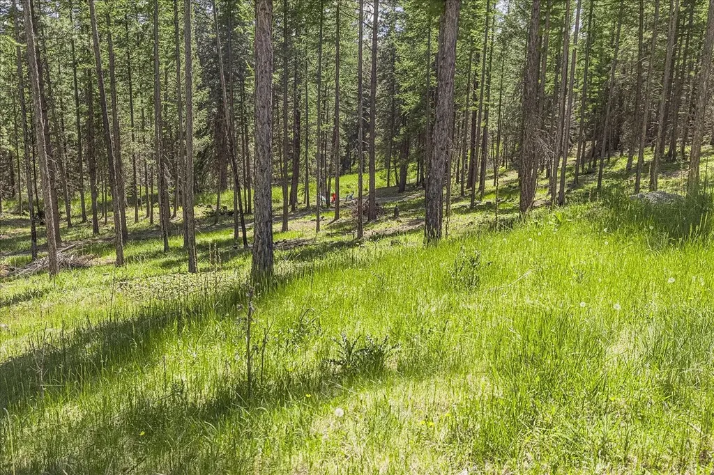 1537 Pomeroy Trail Eureka MT 59917