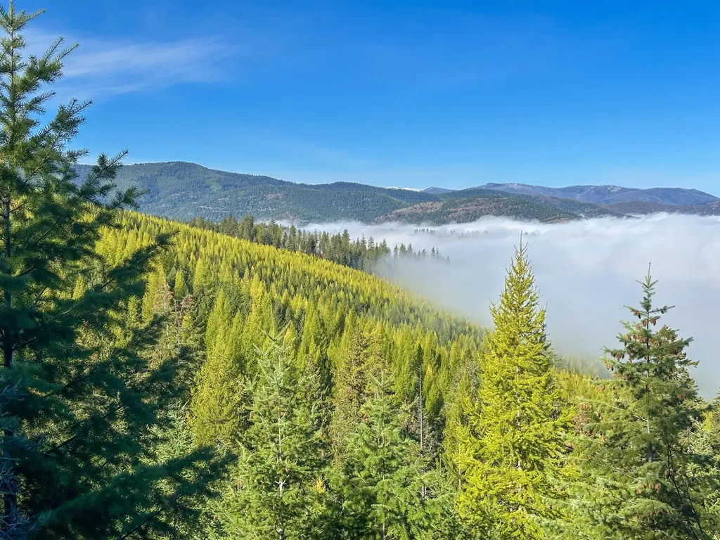 Nhn Pats Knob Road Plains MT 59859