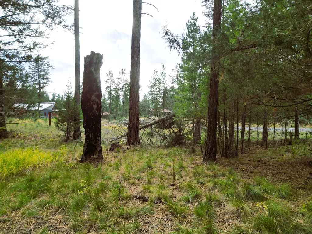 711 Wilderness Club Drive Eureka MT 59917