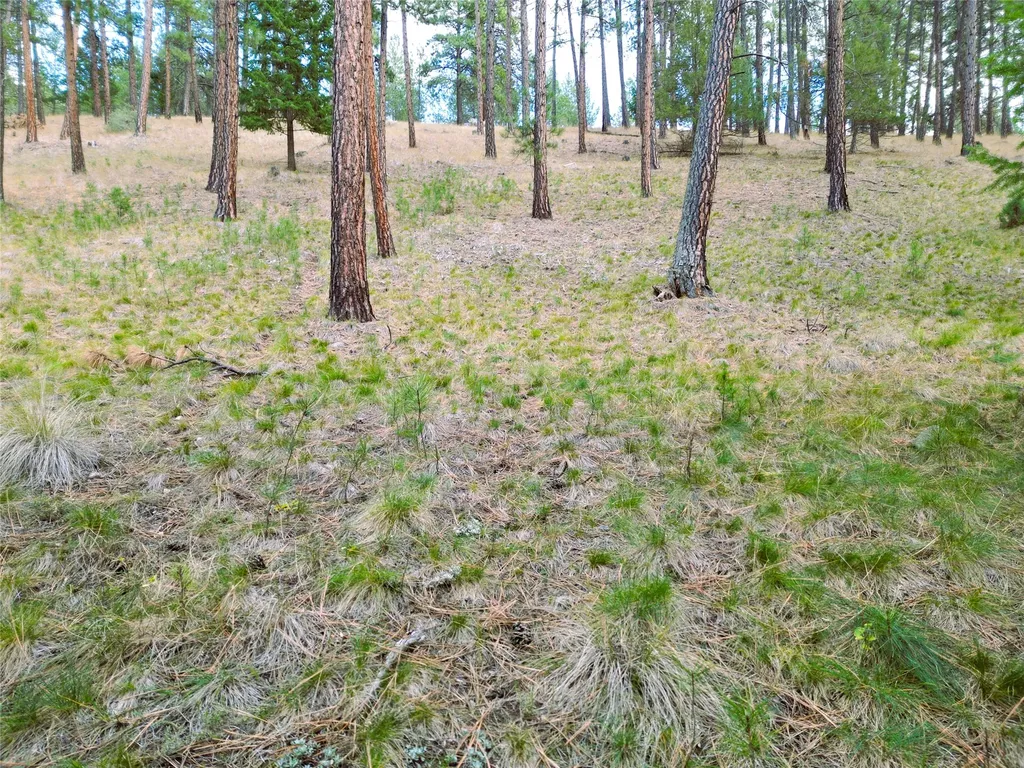 711 Wilderness Club Drive Eureka MT 59917