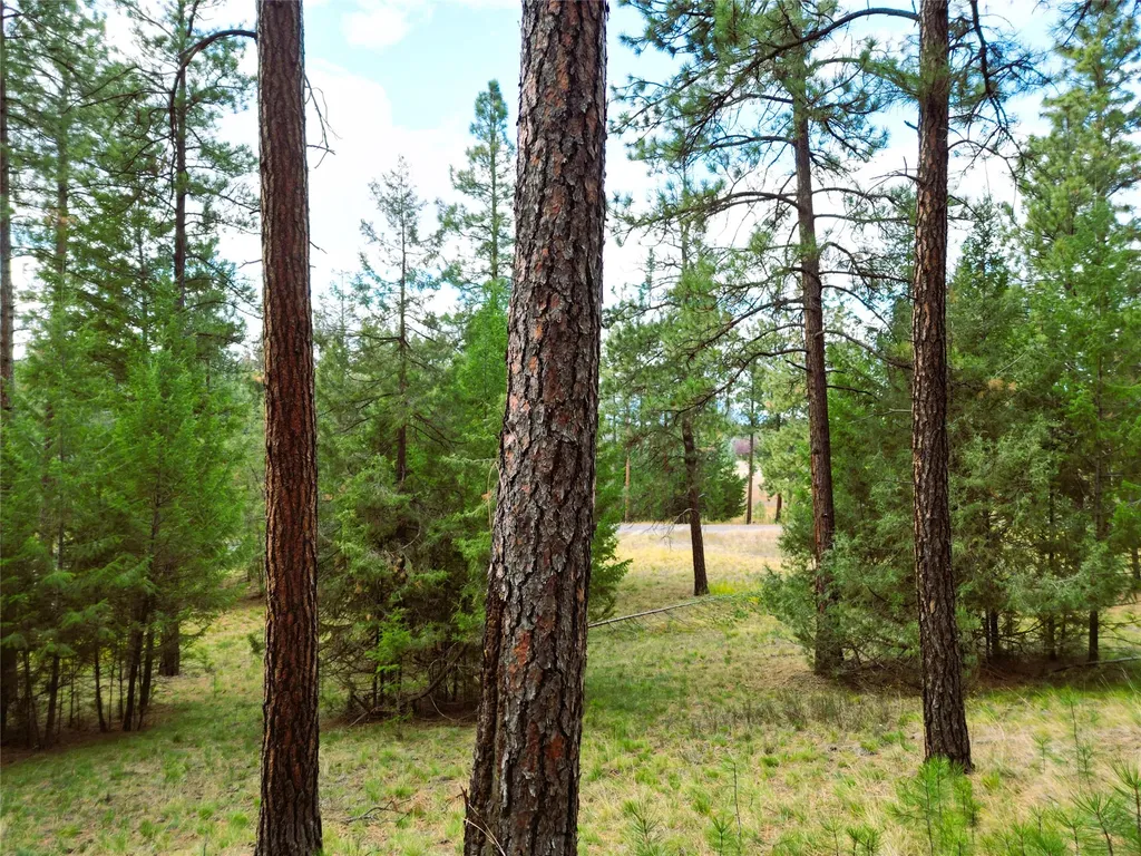 711 Wilderness Club Drive Eureka MT 59917