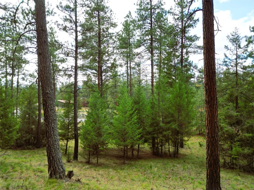 711 Wilderness Club Drive Eureka MT 59917