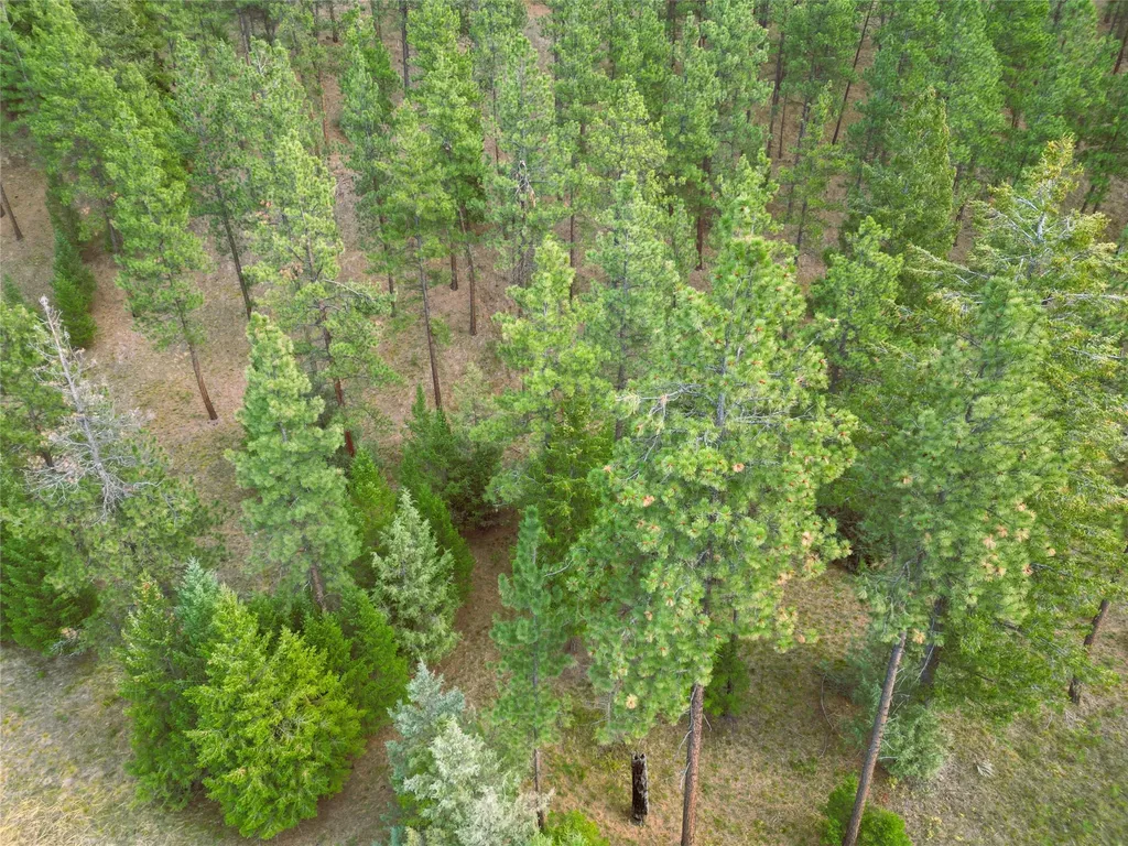 711 Wilderness Club Drive Eureka MT 59917