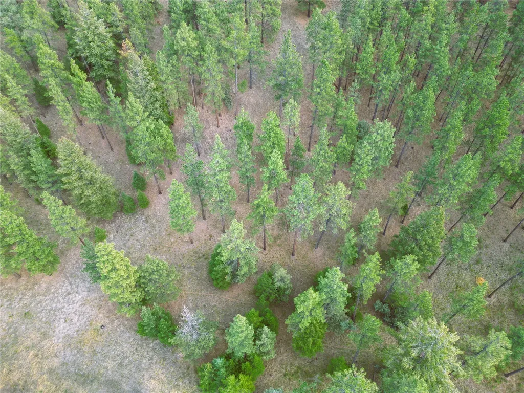 711 Wilderness Club Drive Eureka MT 59917