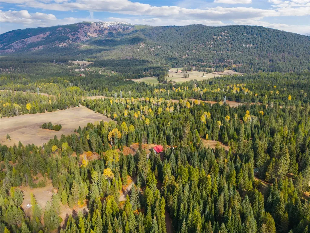 70 Copper Ridge Road Trout Creek MT 59874