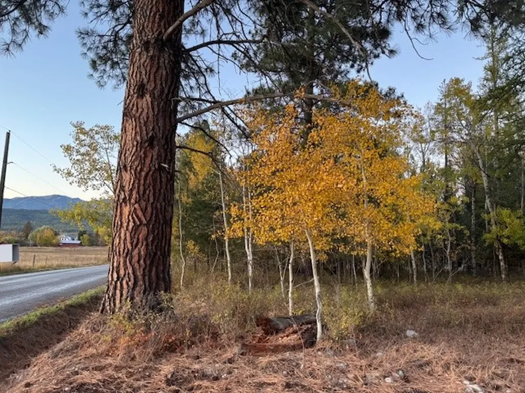 573 Armory Road Whitefish MT 59937