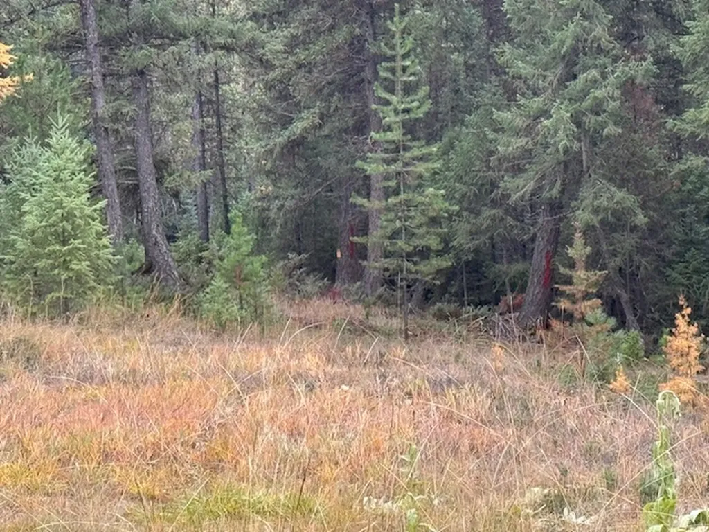Nhn Glen Lake Road Eureka MT 59917
