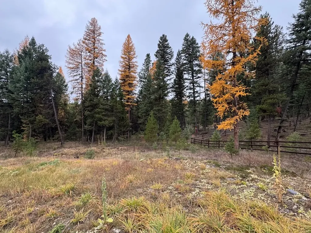 Nhn Glen Lake Road Eureka MT 59917