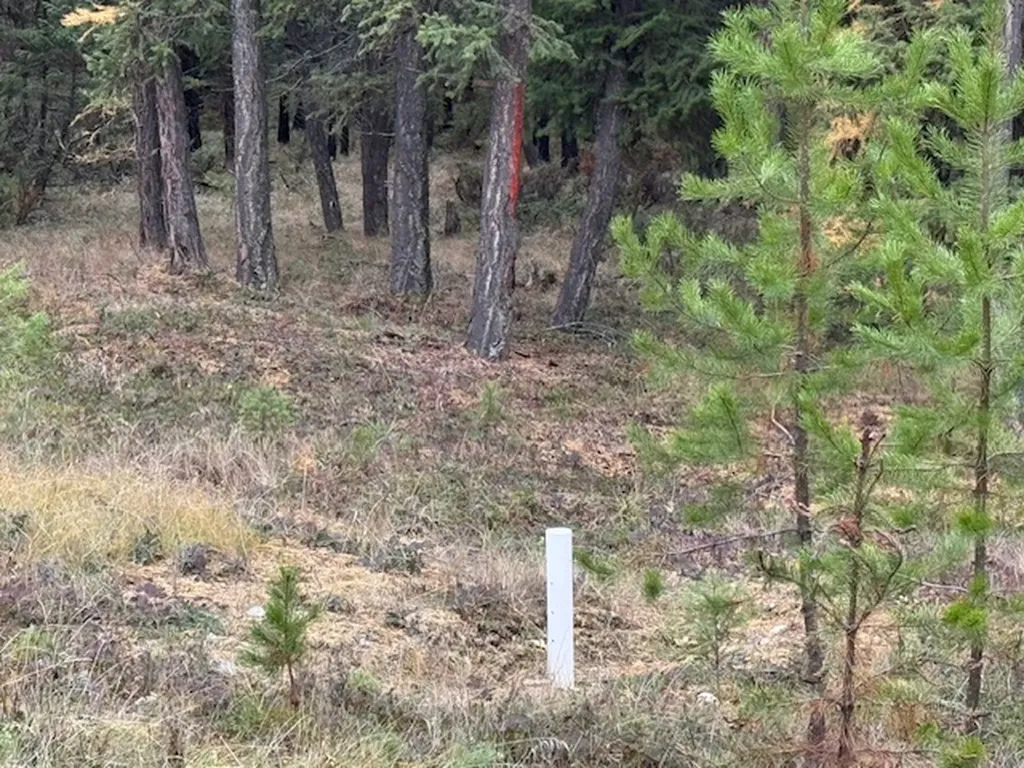 Nhn Glen Lake Road Eureka MT 59917