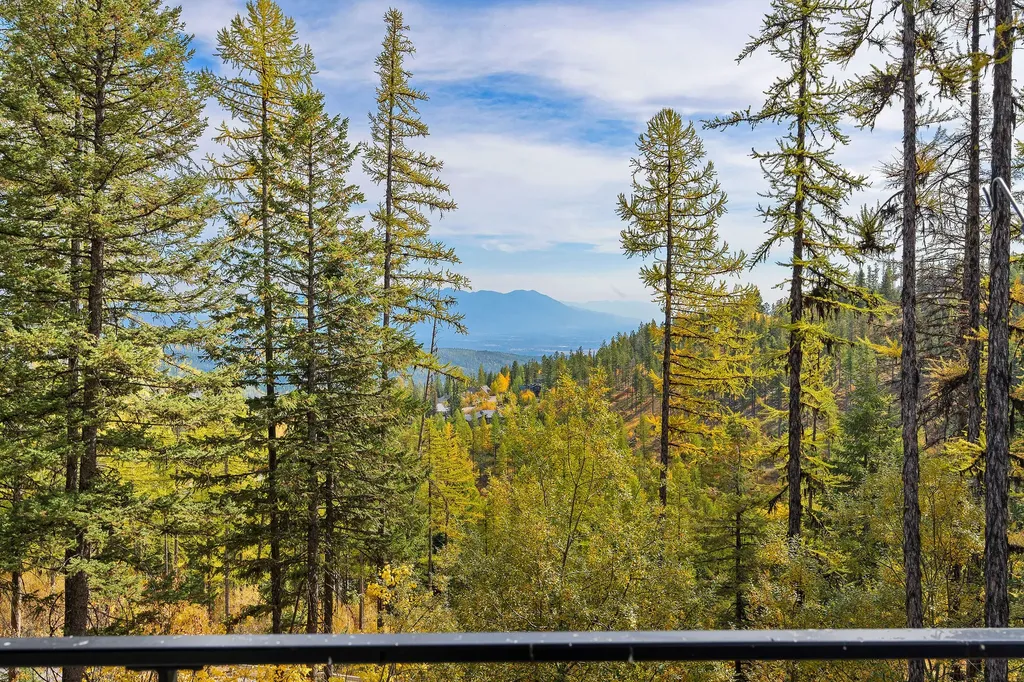 296 Northern Lights Drive Whitefish MT 59937