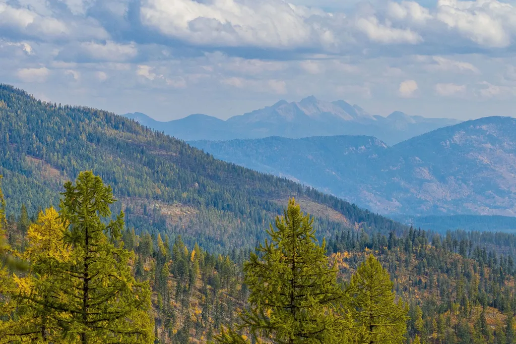 296 Northern Lights Drive Whitefish MT 59937