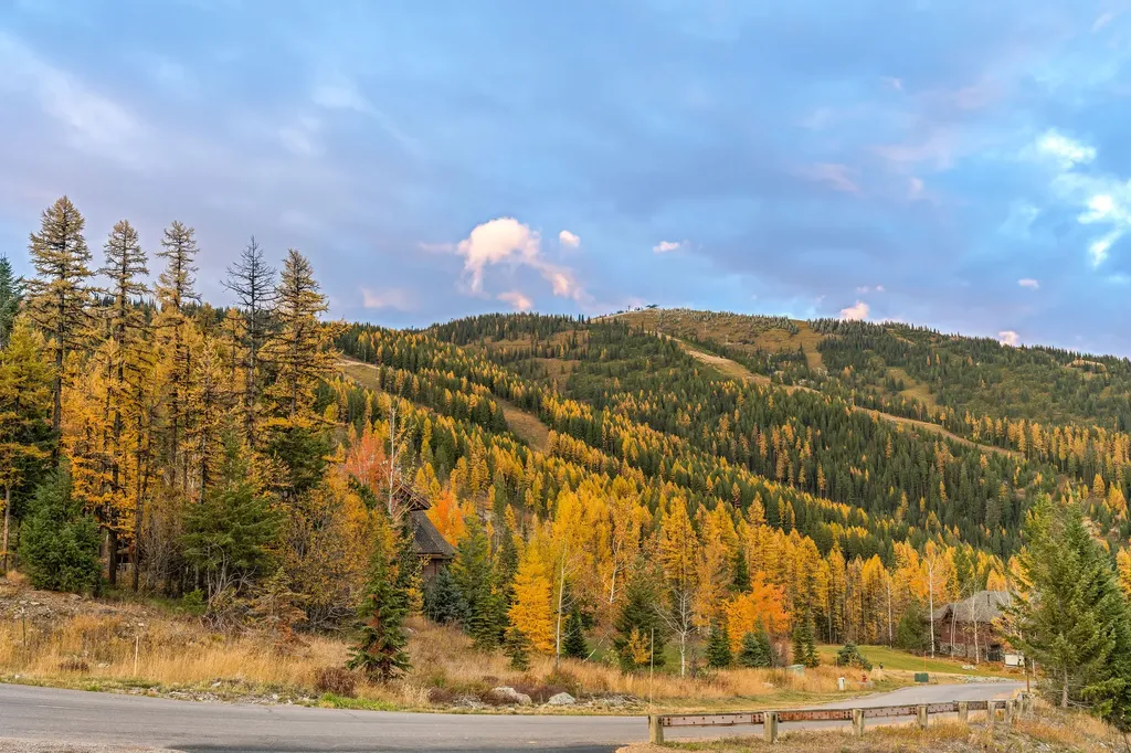 296 Northern Lights Drive Whitefish MT 59937