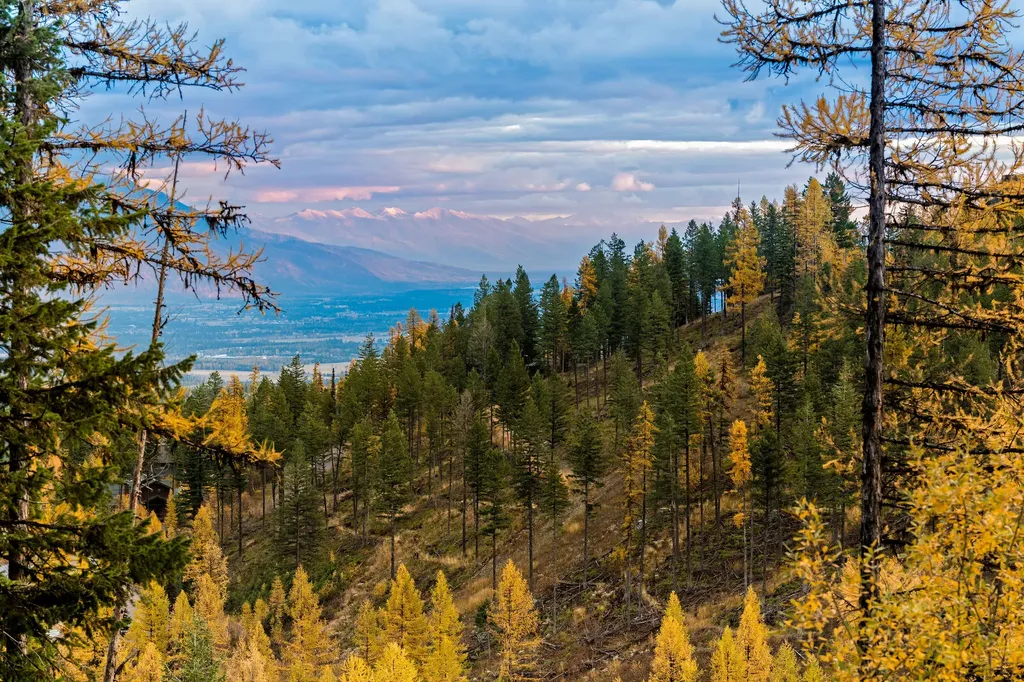 296 Northern Lights Drive Whitefish MT 59937