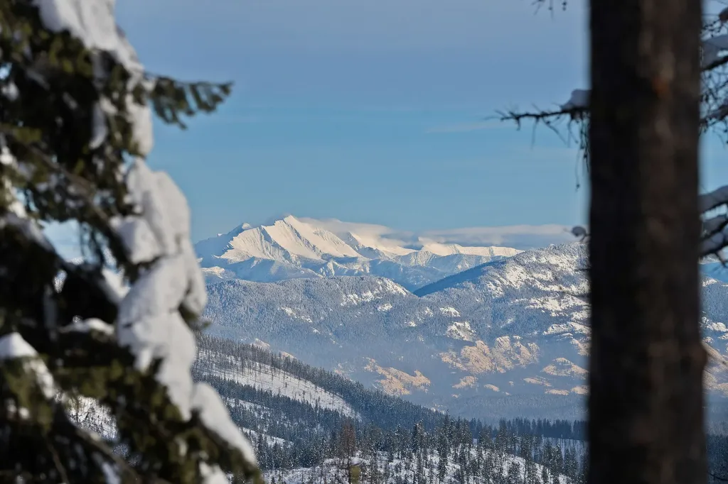 296 Northern Lights Drive Whitefish MT 59937