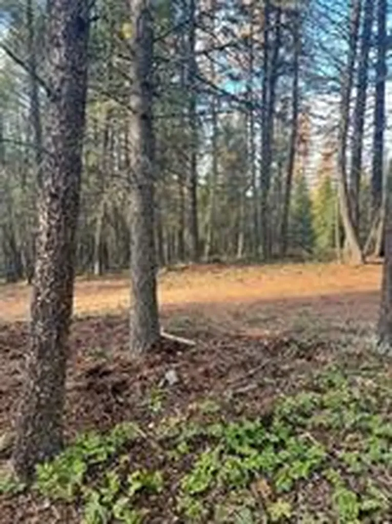 761 Springhill Road Kila MT 59920