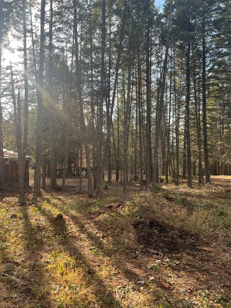 761 Springhill Road Kila MT 59920