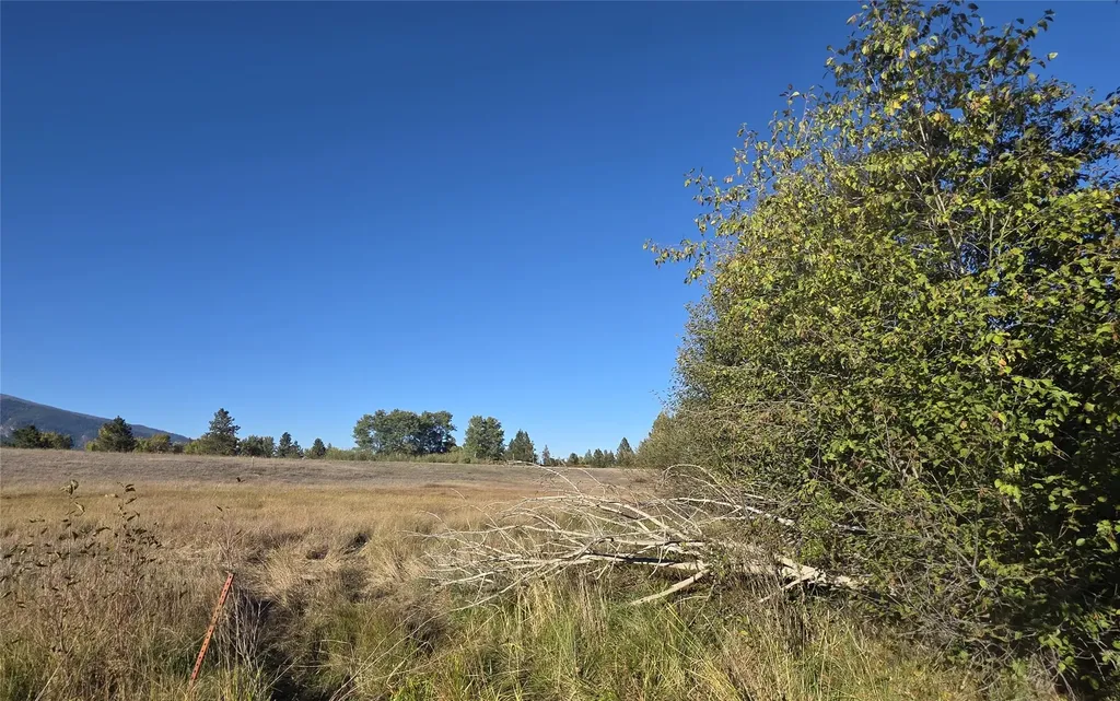 2326 Middle Bear Creek Road Victor MT 59875